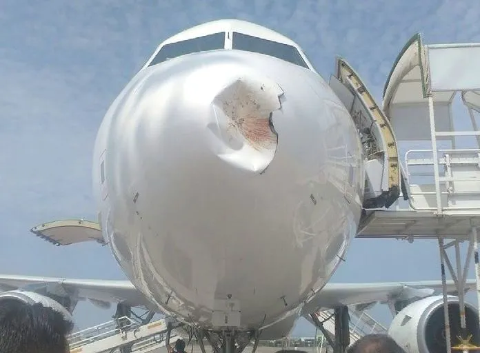 air vistara bird hit in Bhubaneswar BPIA
