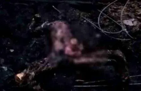 charred body
