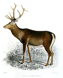 Pic.en.wikipedia.org