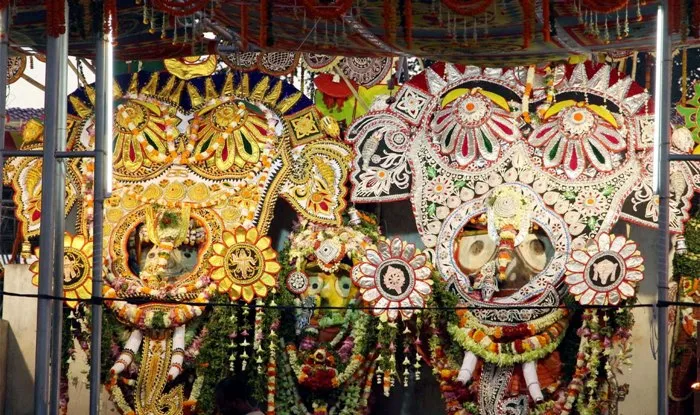 Pic courtesy: www.nabakalebara.gov.in