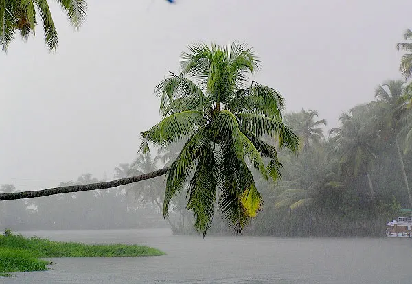 Monsoon