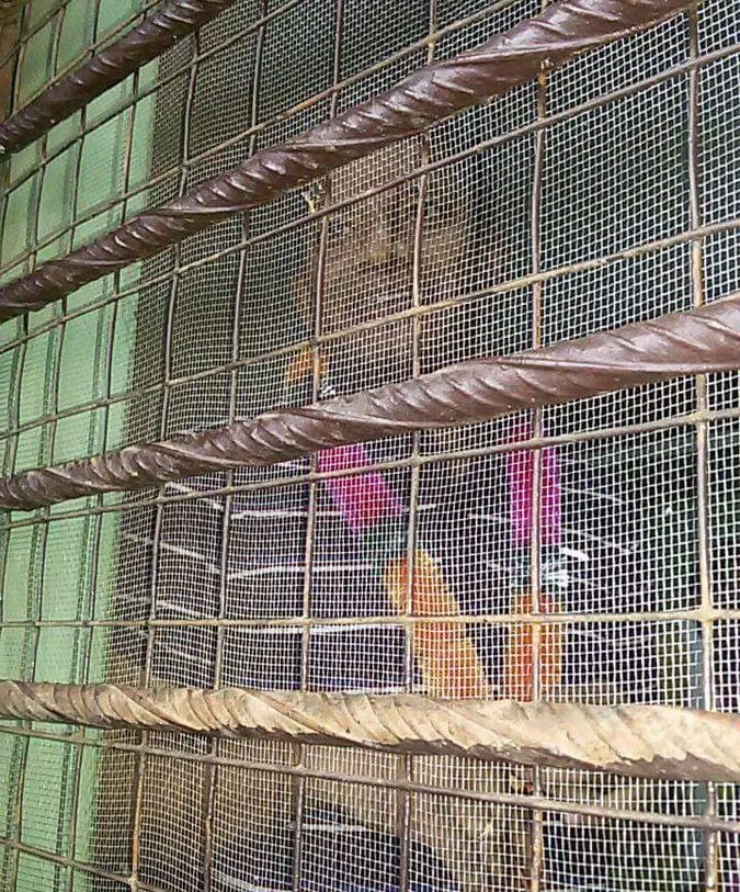 Pradip Majhi in Umerkote jail