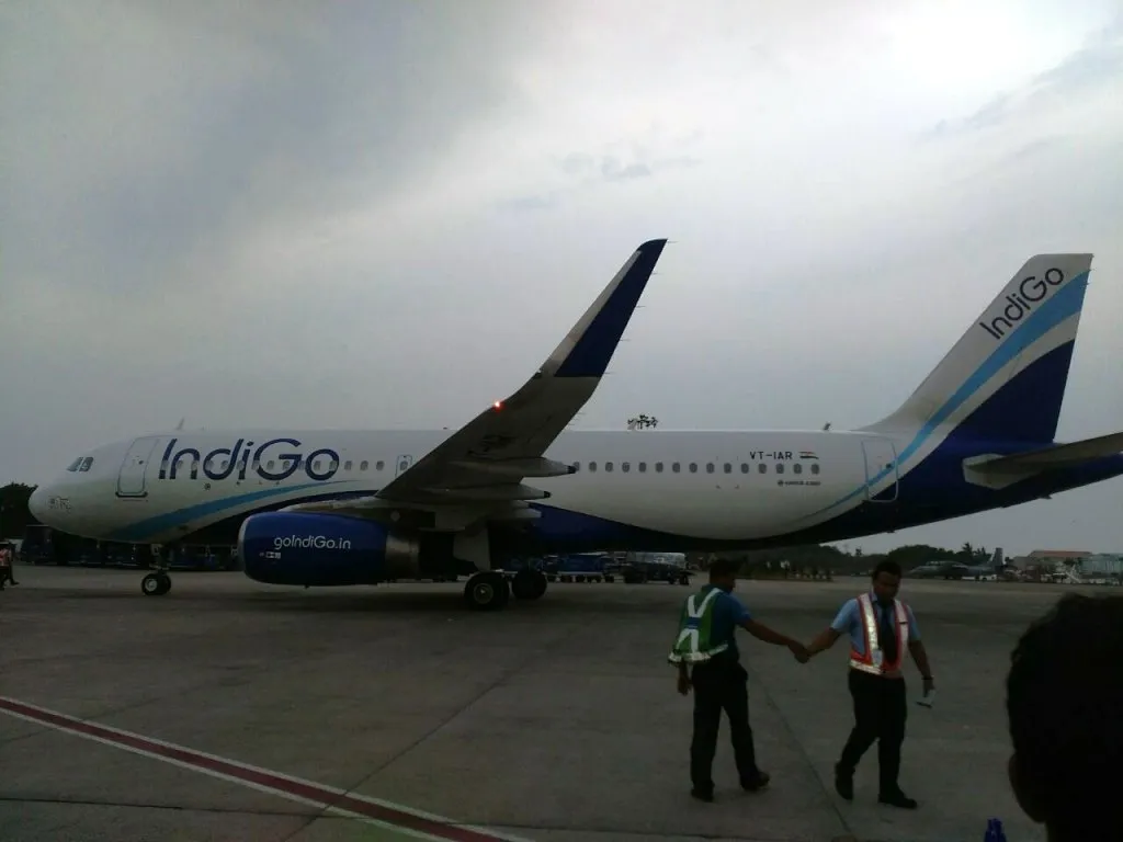 indigo