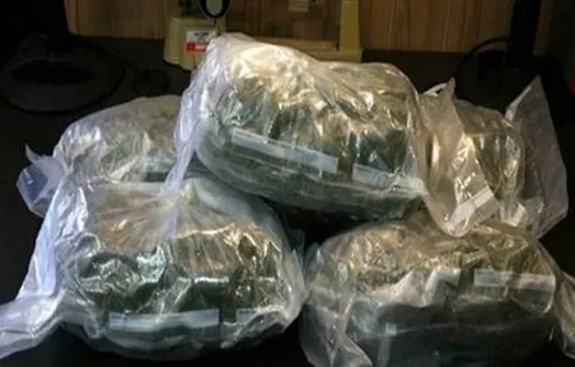 ganja