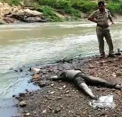 dead-body