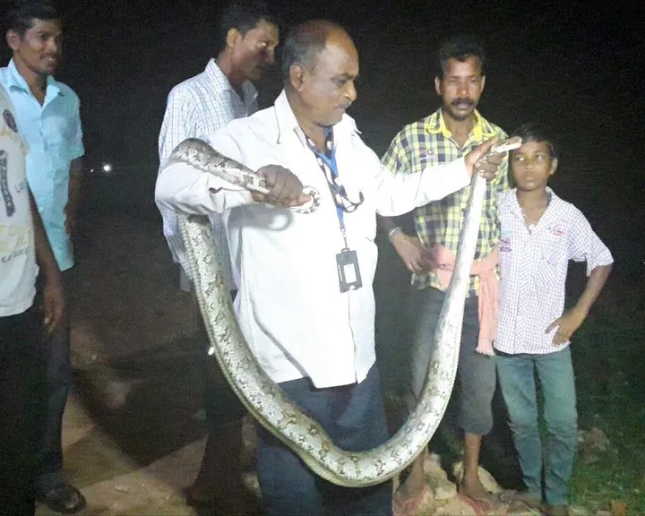 python