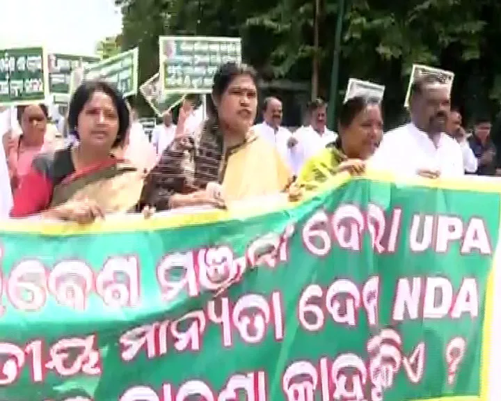 bjd-rally