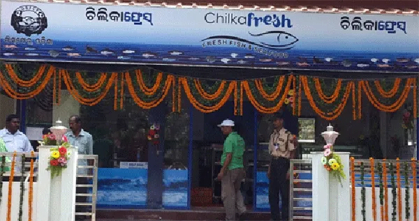 chilika fresh