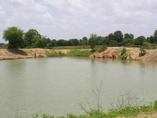 pond