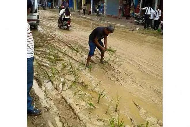 umerkote-villagers-plant-saplings