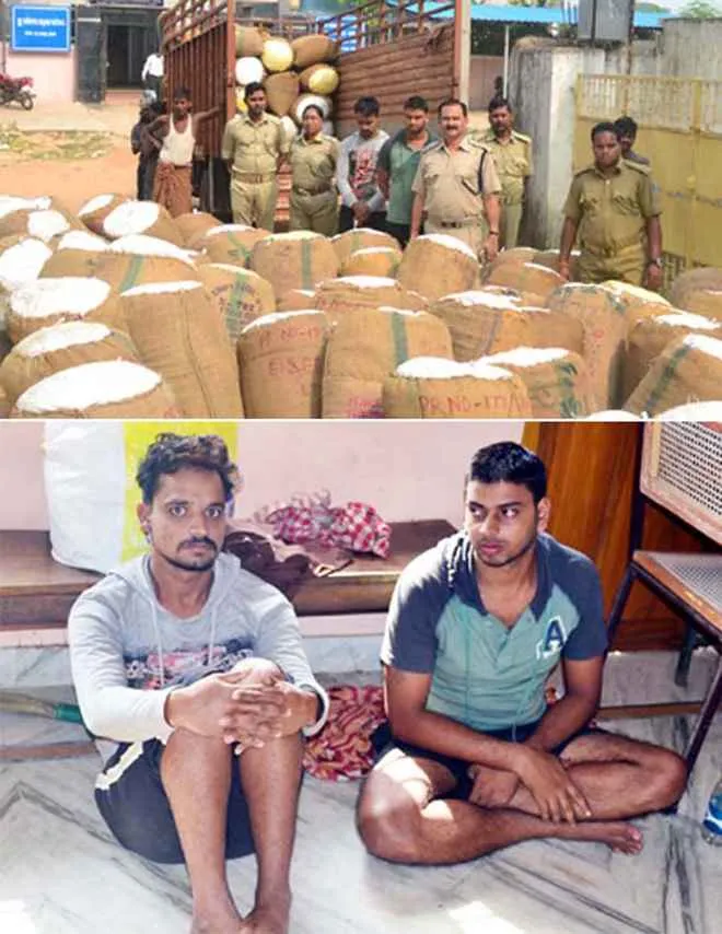excise-haul-pipili