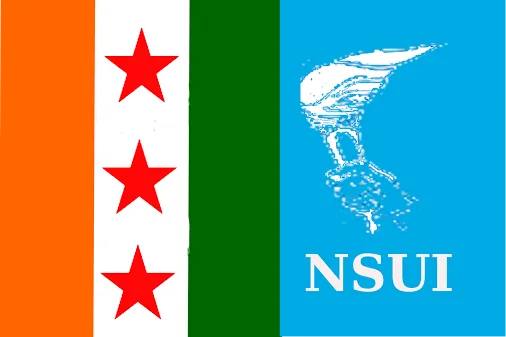 nsui-logo