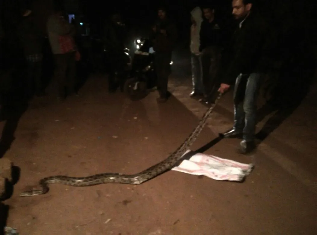 python-bhubaneswar