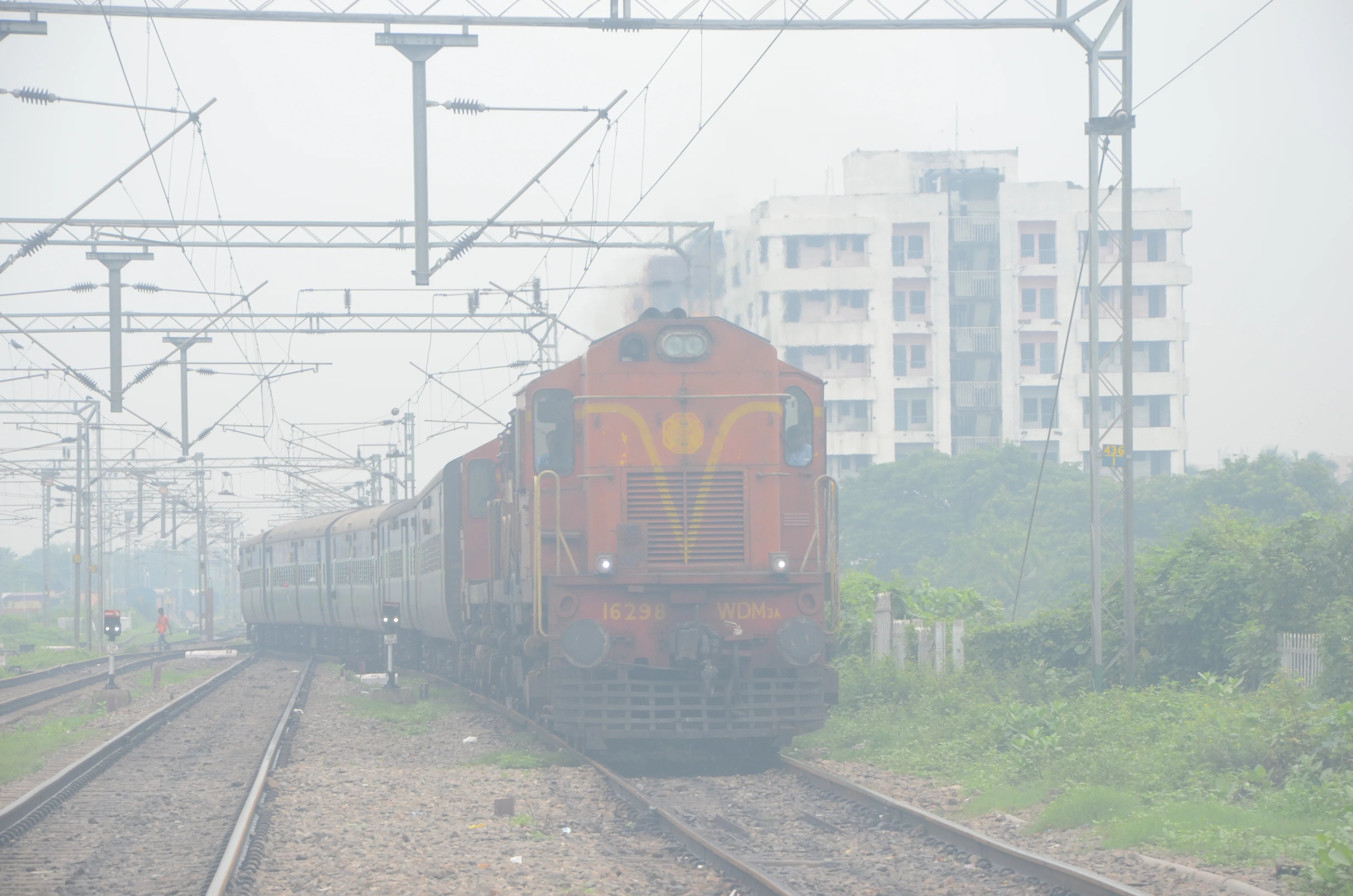 fog-train