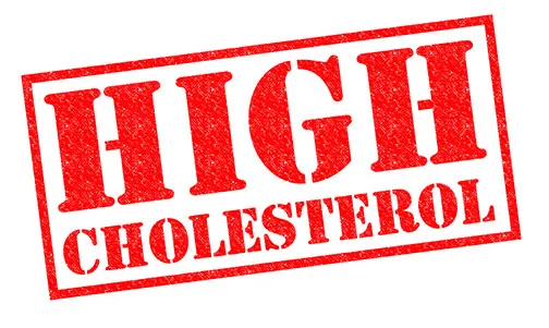 cholestrol