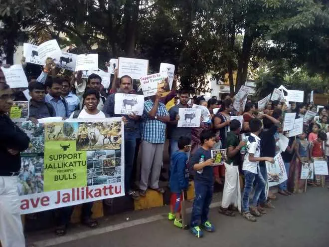 Jallikattu protest Bhubaneswar