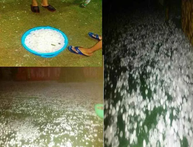 jharsuguda-hail-rain