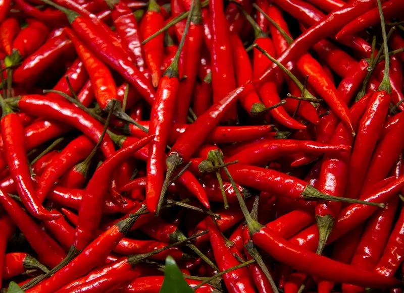 RED CHILLI