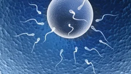 publive-image
