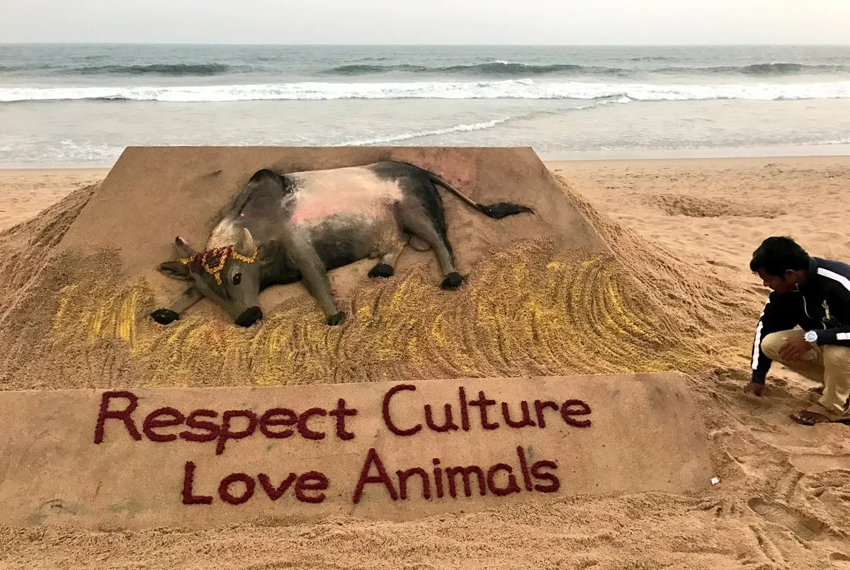jallikattu sudarsan pattnaik