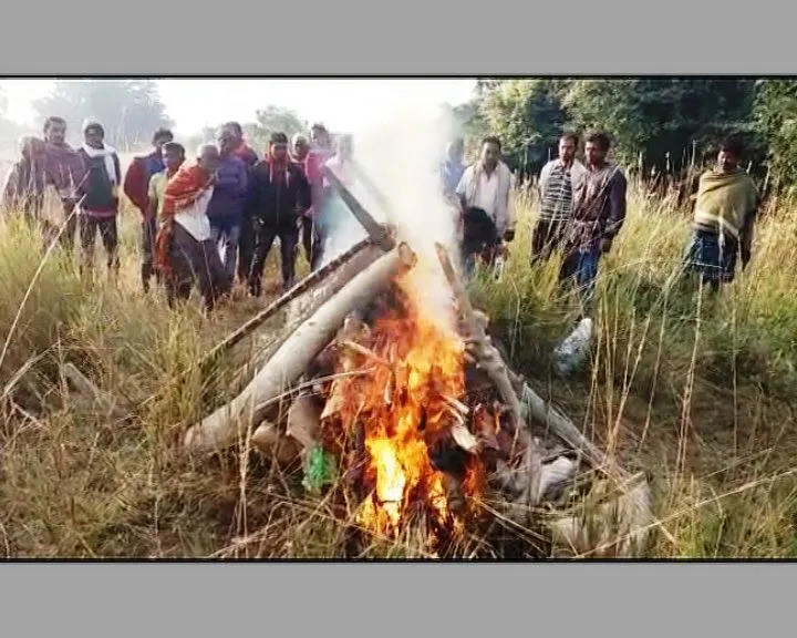 minor girl torching