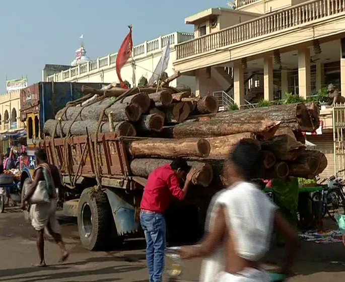 wooden logs for rath yatra