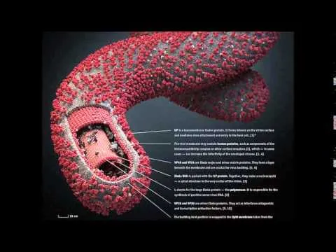 publive-image