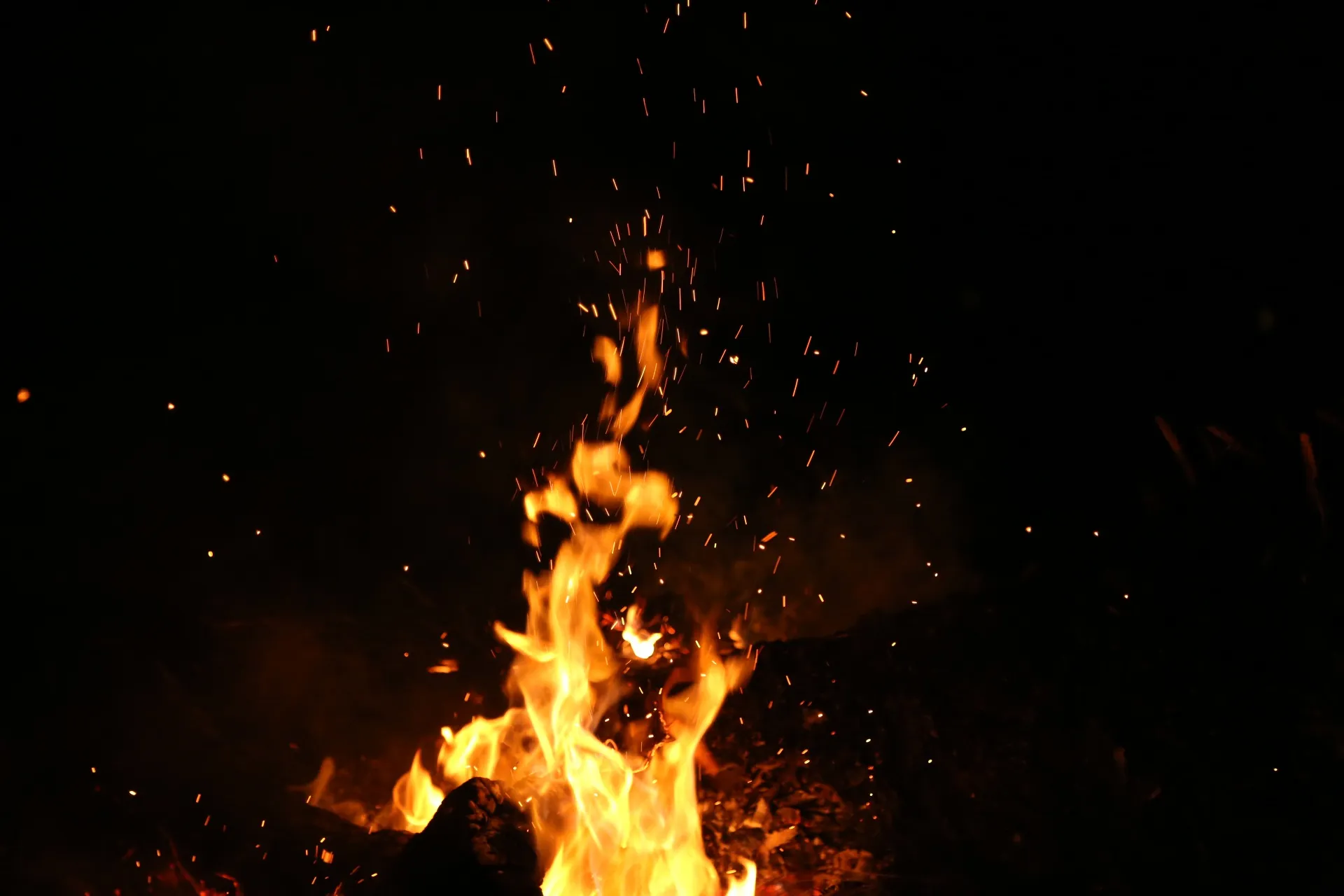 publive-image