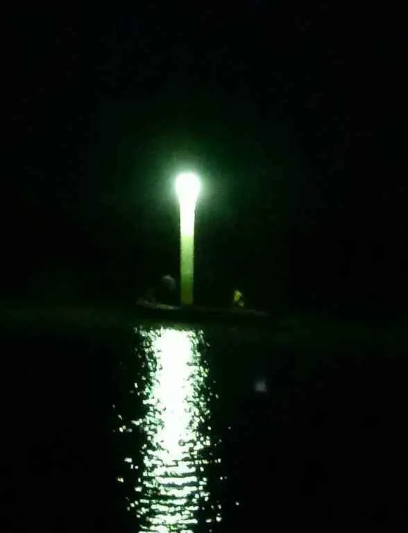 publive-image