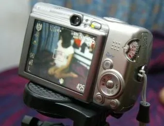 publive-image