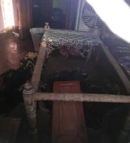 publive-image