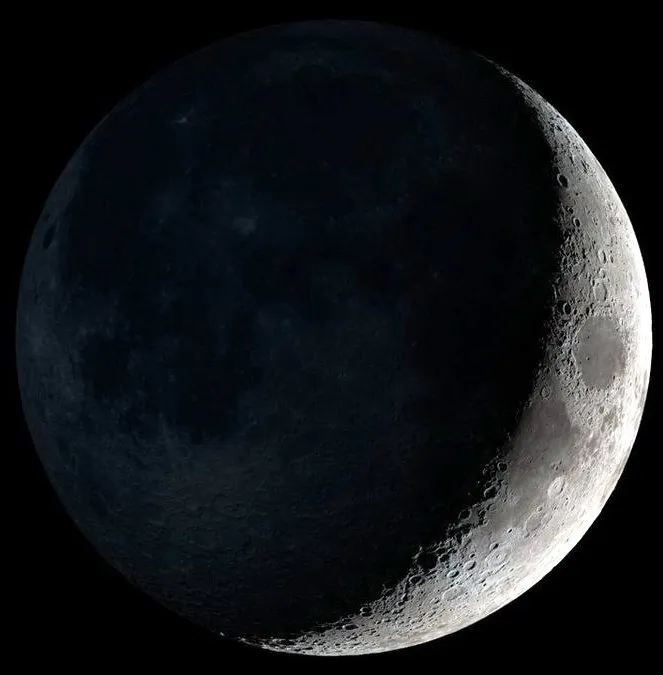 publive-image