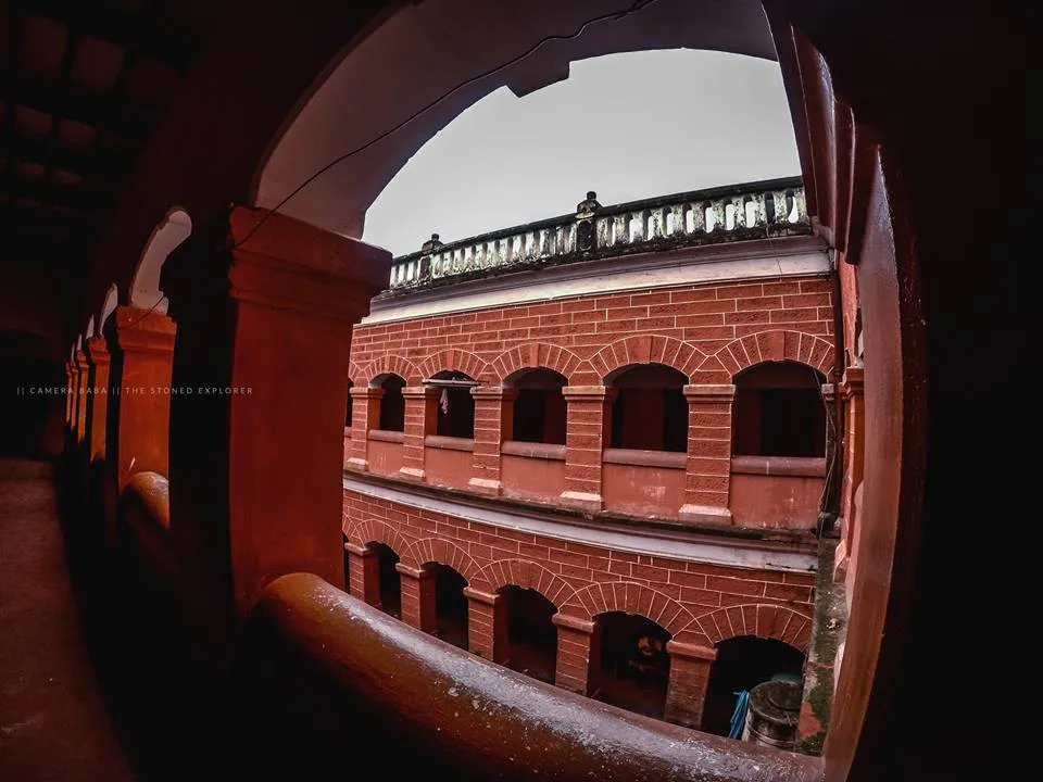 publive-image