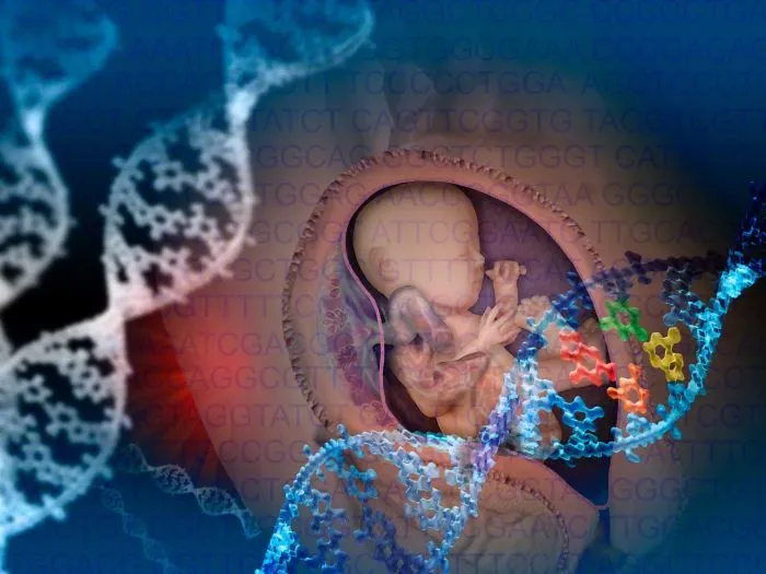  baby DNA