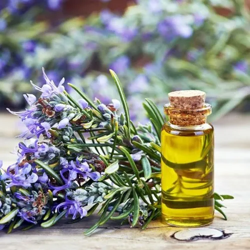 Rosemary oil
