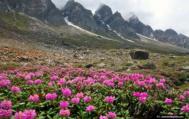  Katao, Sikkim