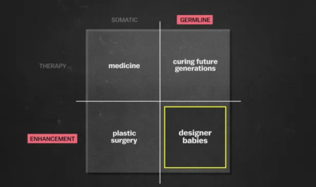 designer babies