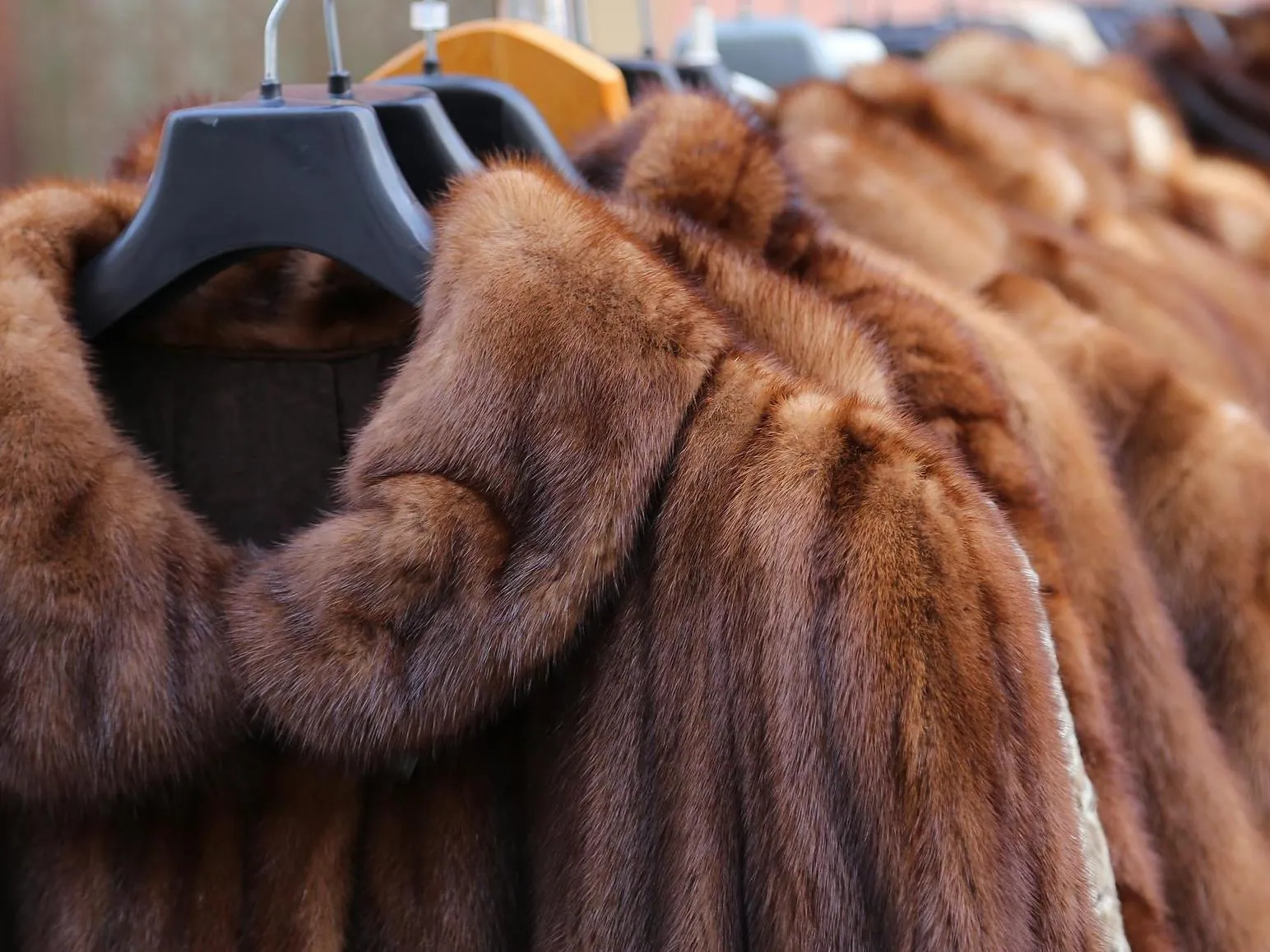 fur coat