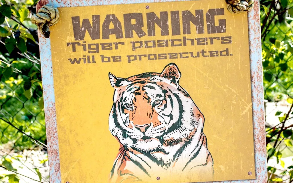 poaching-on-the-rise-during-coronavirus-lockdown