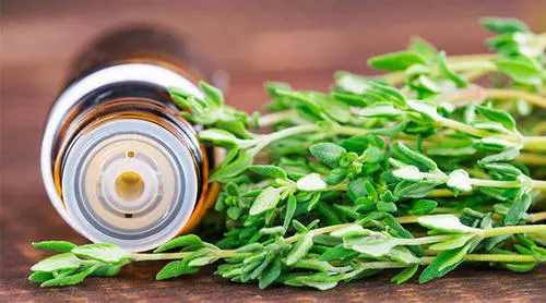 thyme oil