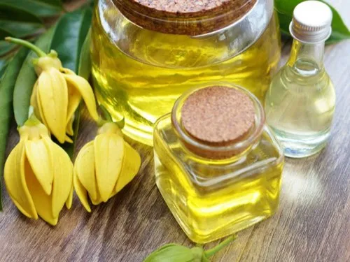ylang ylang oil