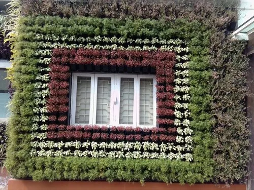 Vertical Gardening: