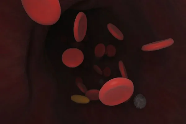 publive-image
