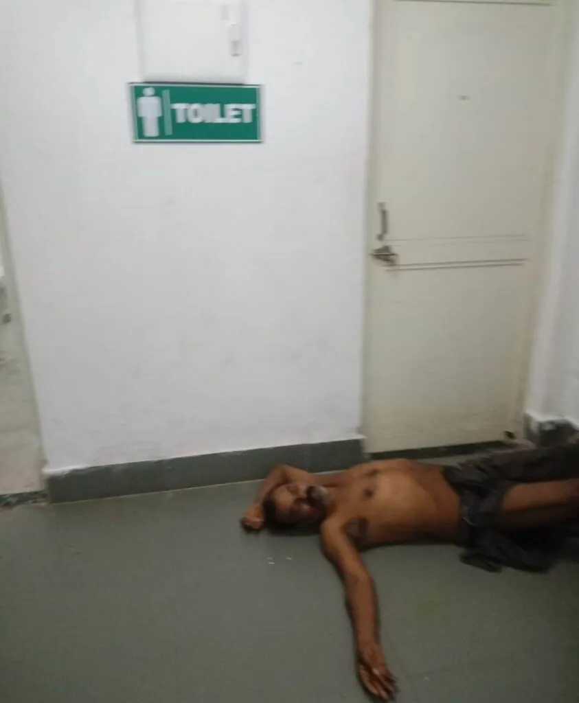 publive-image