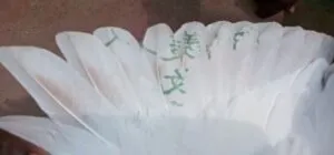 publive-image