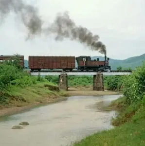 publive-image