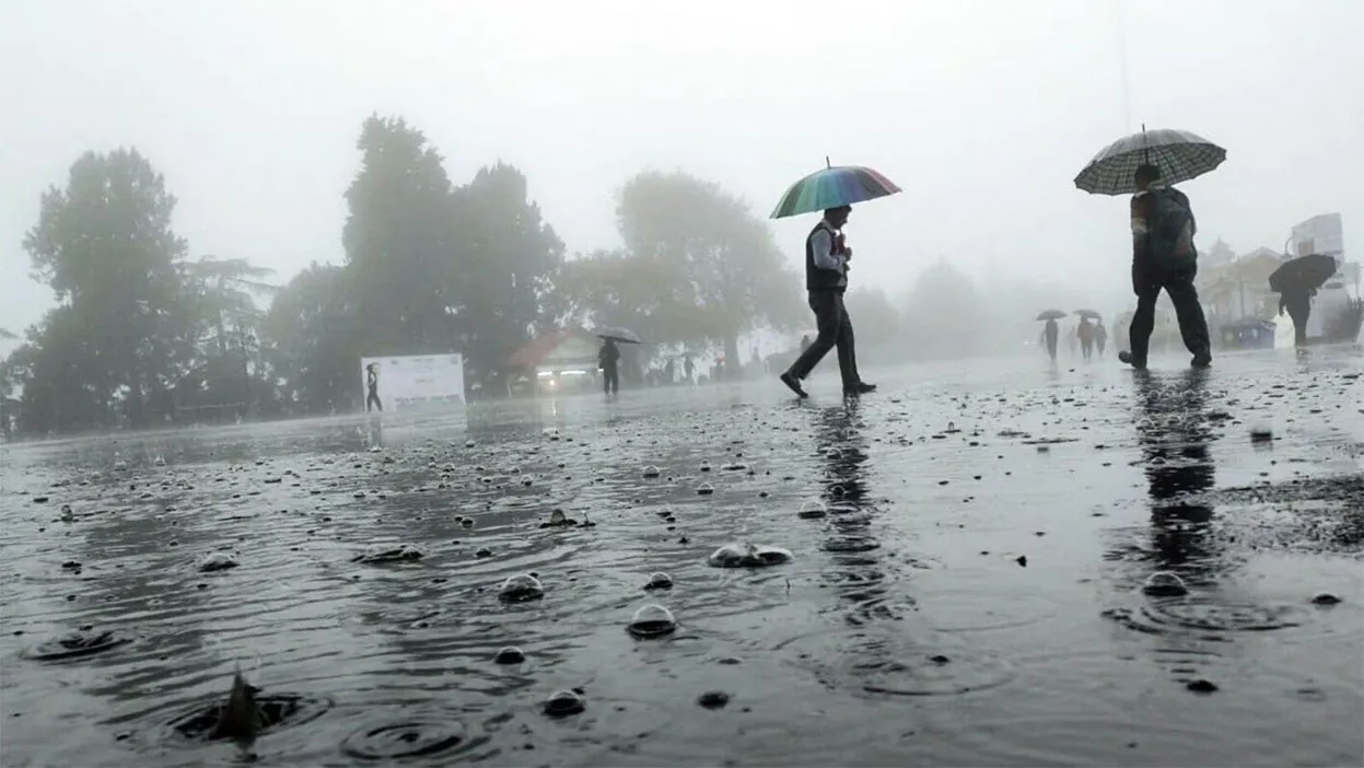 rainfall