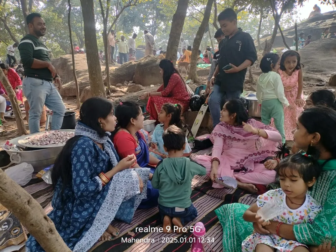 New Year picnic