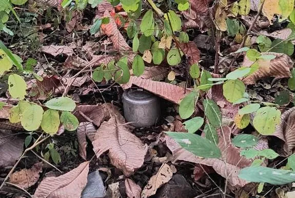 Naxal in Chhattisgarh