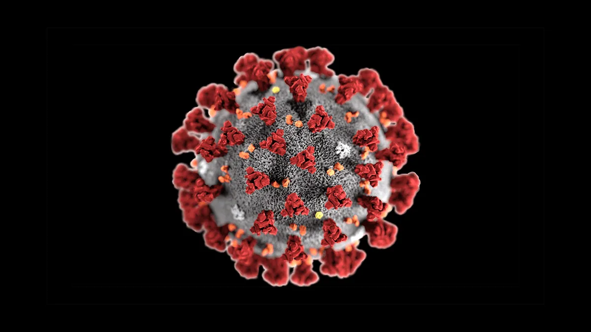 8 Questions Employers Should Ask About Coronavirus
